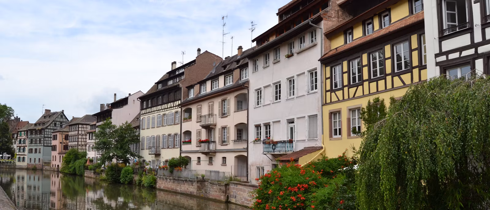 Tall houses and a weeping willow along the Ill in Petite France, Strasbourg