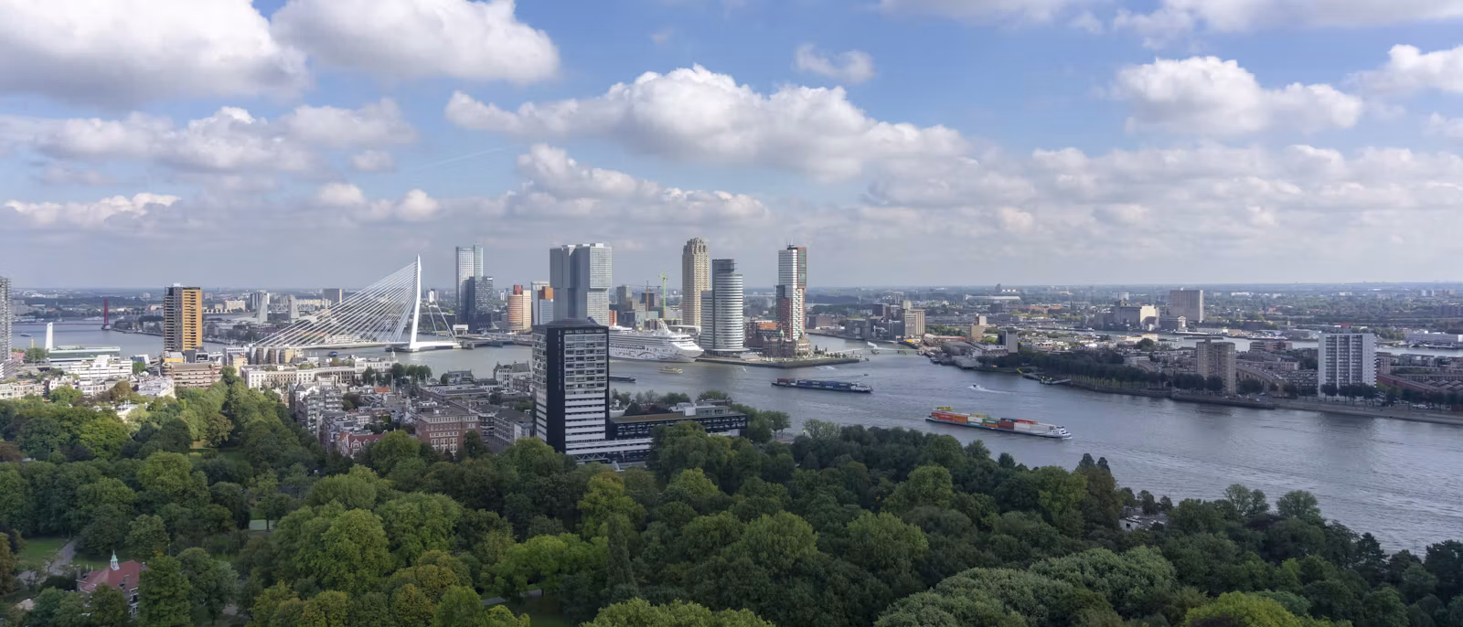 Rotterdam from high above Het Park — a wide canopy of trees in the foreground, the river Maas with barges and a cruise ship beyond, and a small distant skyline with the white harp of the Erasmus Bridge under a sky of summer clouds